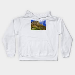 Brentor Kids Hoodie